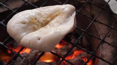 切片鱿鱼烧烤传统的炉子泰国海鲜菜单美味的味道泰国街食物菜单燃烧木炭热火焰下面热菜单好野餐慢运动